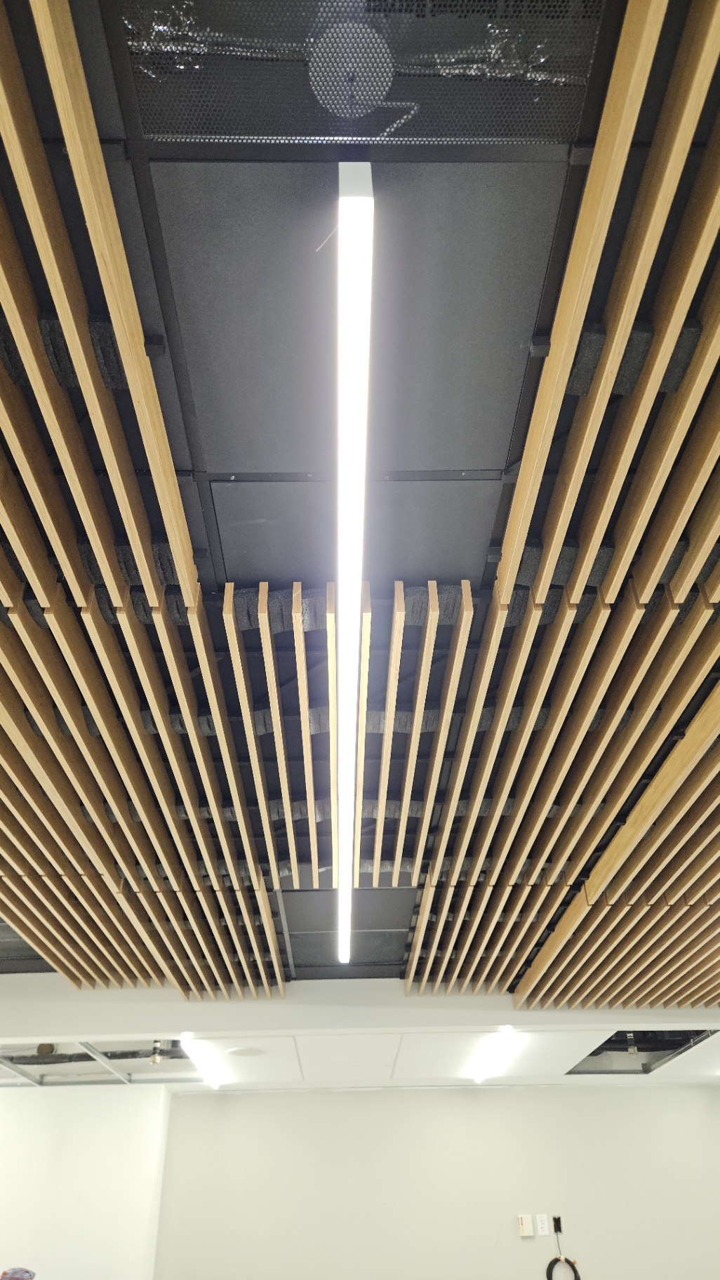 Linear Pendant Between Wood Slat Ceiling — Architectural linear LED pendant set between custom wood slat acoustic baffles in a modern open office.